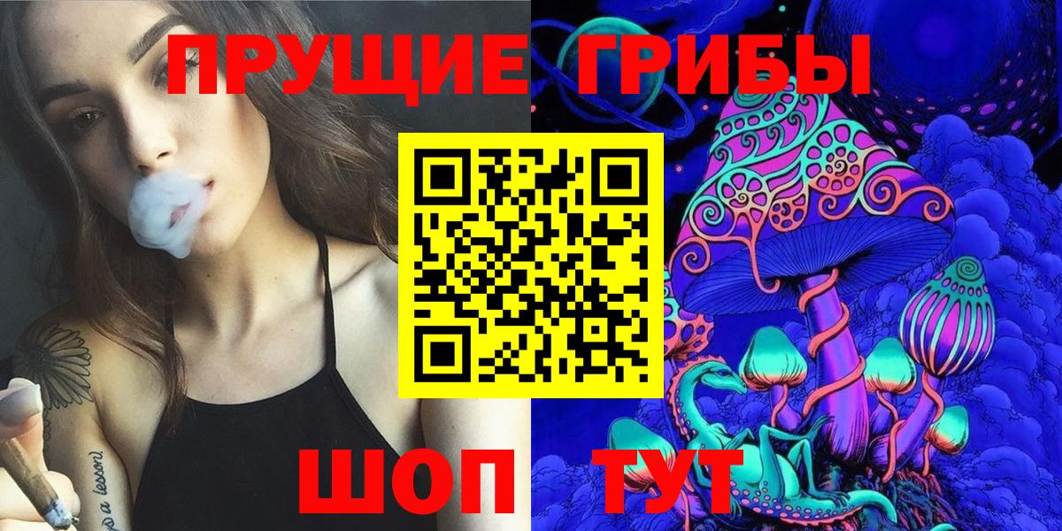 Псилоцибиновые грибы прущие грибы  Вход с VPN  Махачкала  Псилоцибиновые грибы Magic Shrooms 